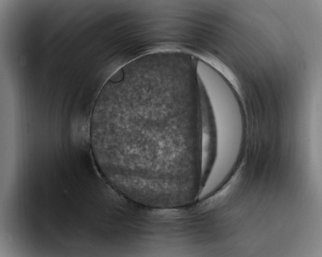 X0000091900953200709261655