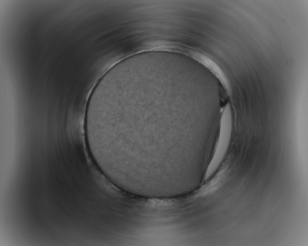 X0000091900954200709261655