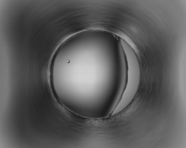 X0000091900955200709261655