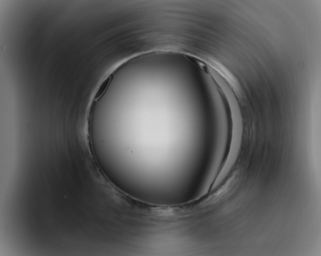 X0000091900956200709261655