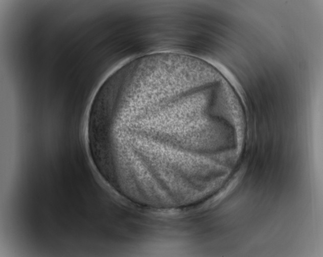 X0000091900957200709261655