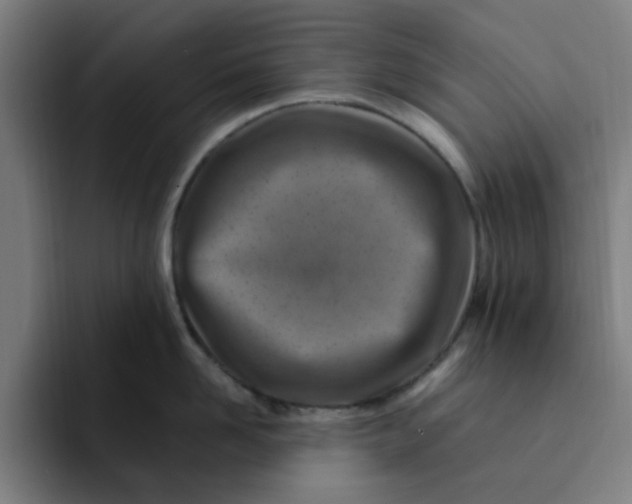 X0000091900958200709261655