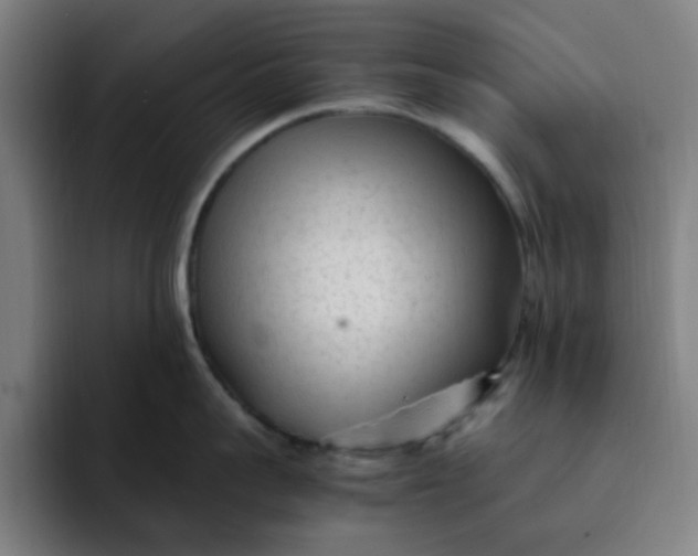 X0000091900959200709261655