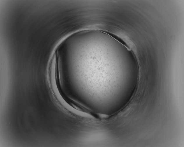 X0000091900960200709261655