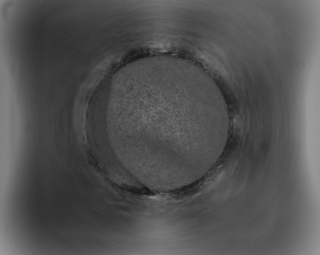 X0000091900961200709261655