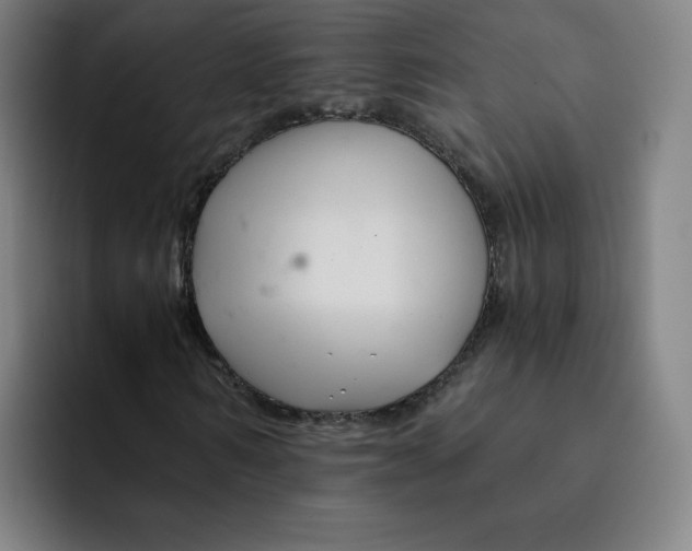 X0000091900962200709261655