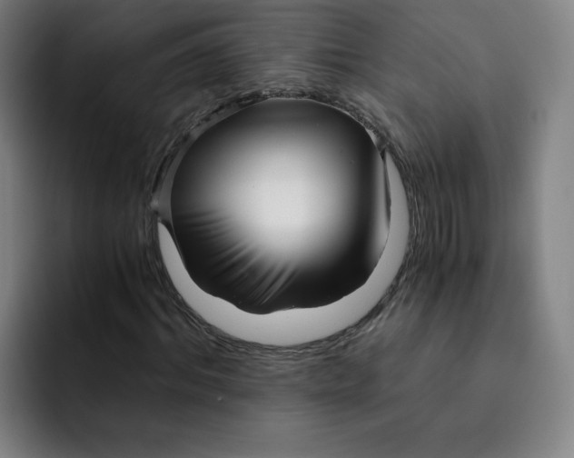 X0000091900964200709261655