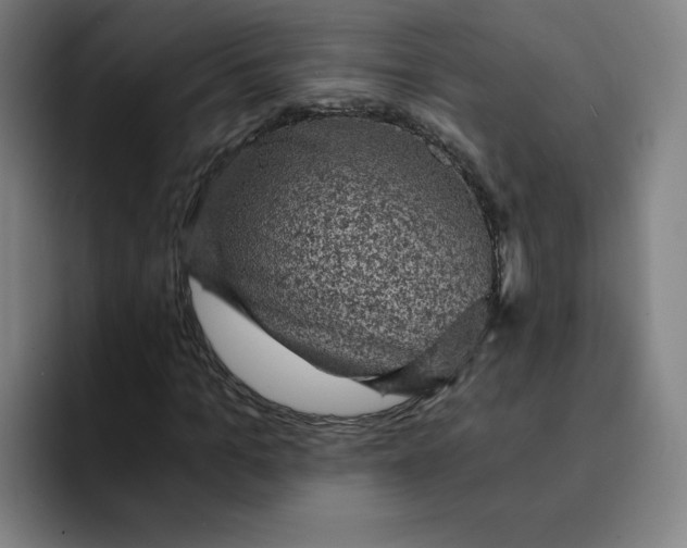 X0000091900965200709261655