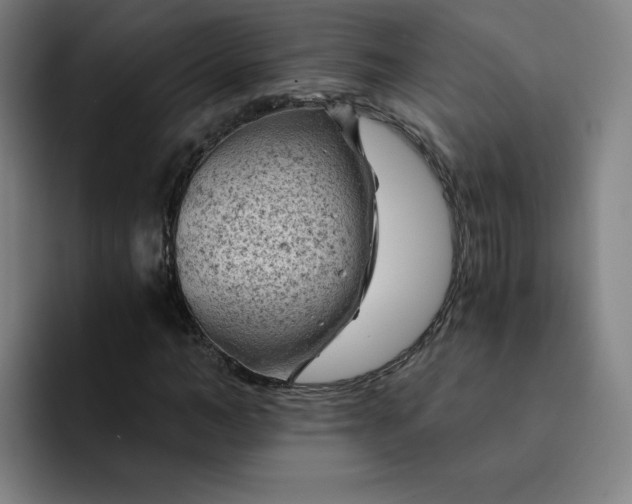 X0000091900966200709261655