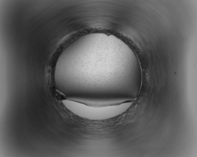 X0000091900968200709261655