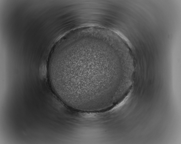 X0000091900969200709261655