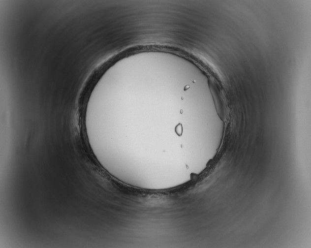 X0000091900974200709261655