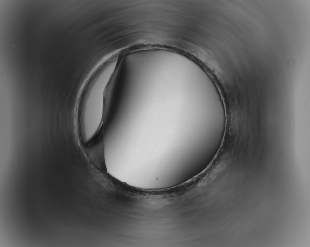 X0000091900976200709261655