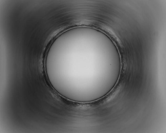 X0000091900978200709261654