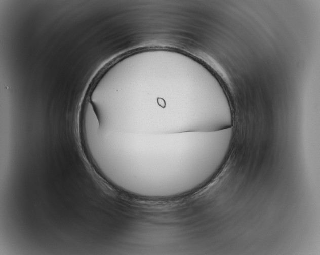 X0000091900980200709261654