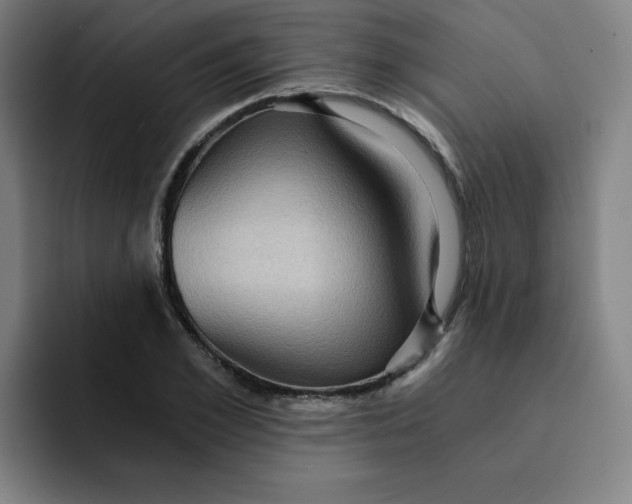 X0000091900981200709261654