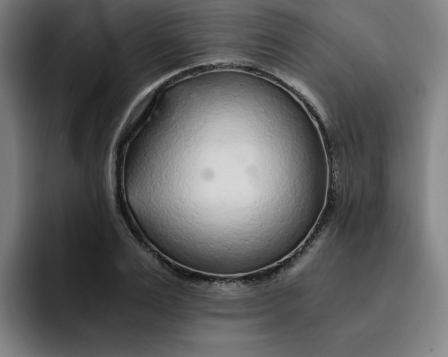 X0000091900983200709261654