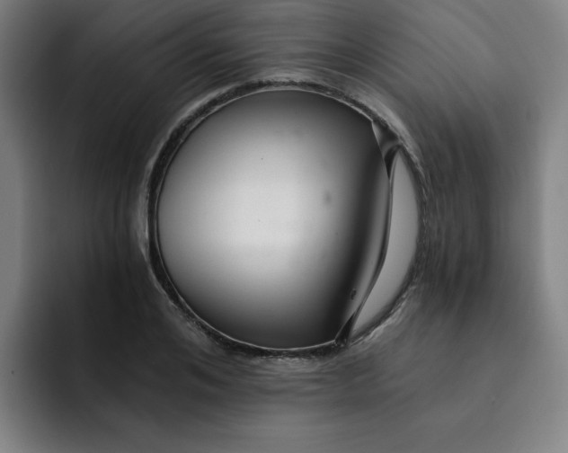 X0000091900984200709261654