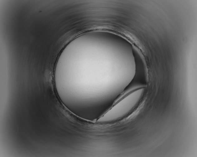 X0000091900985200709261654