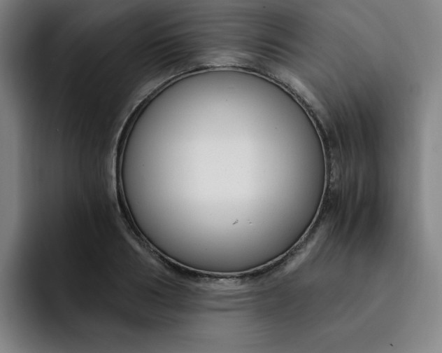 X0000091900986200709261654