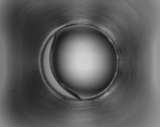 X0000091900989200709261654