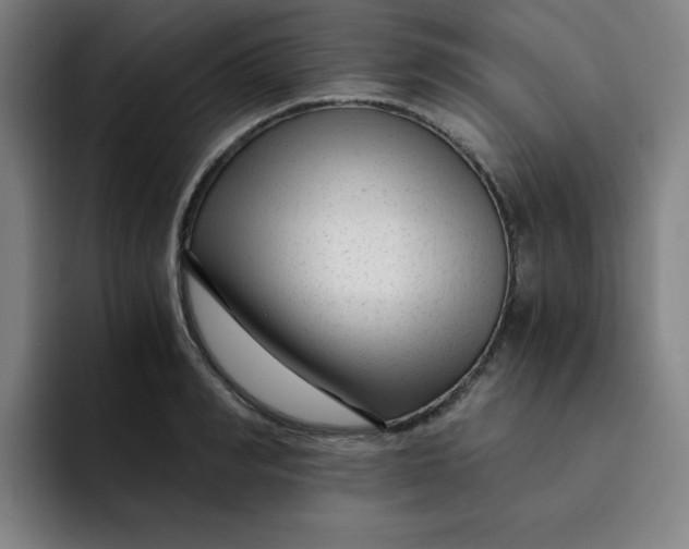 X0000091900990200709261654