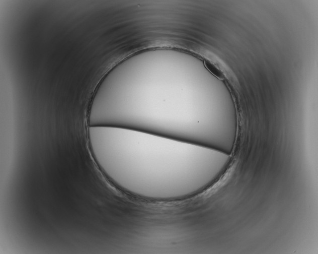 X0000091900993200709261654