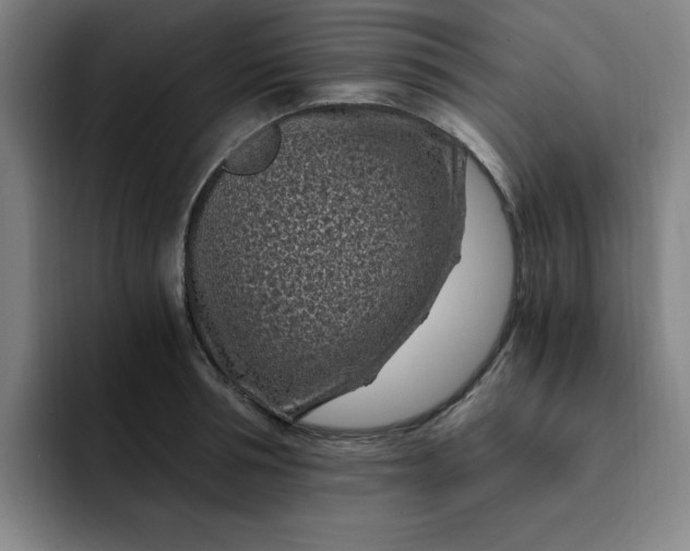 X0000091900994200709261654