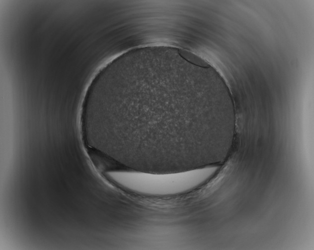 X0000091900995200709261654