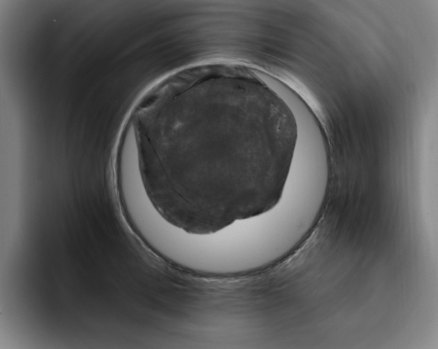 X0000091900996200709261654