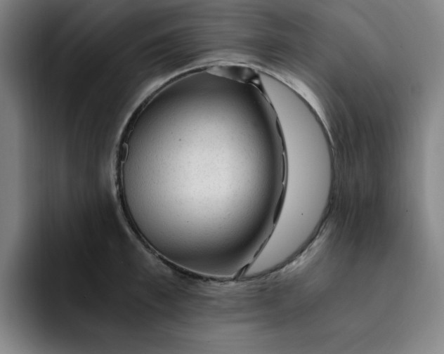 X0000091900997200709261654