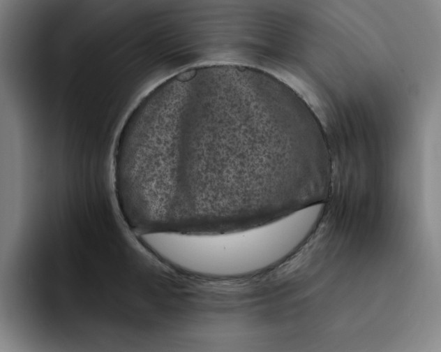 X0000091900998200709261654