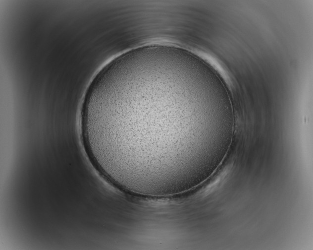 X0000091900999200709261654