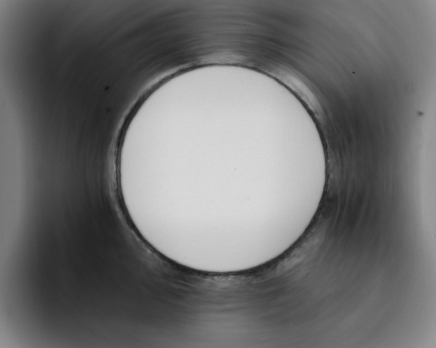 X0000091901000200709261654