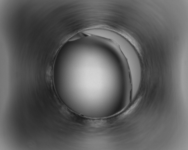 X0000091901001200709261654