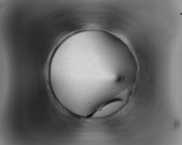 X0000091901008200709261654