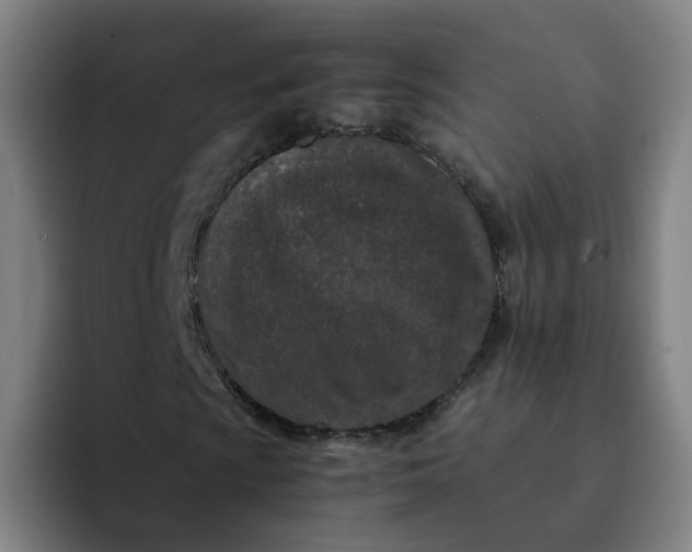 X0000091901009200709261654