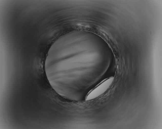 X0000091901013200709261654