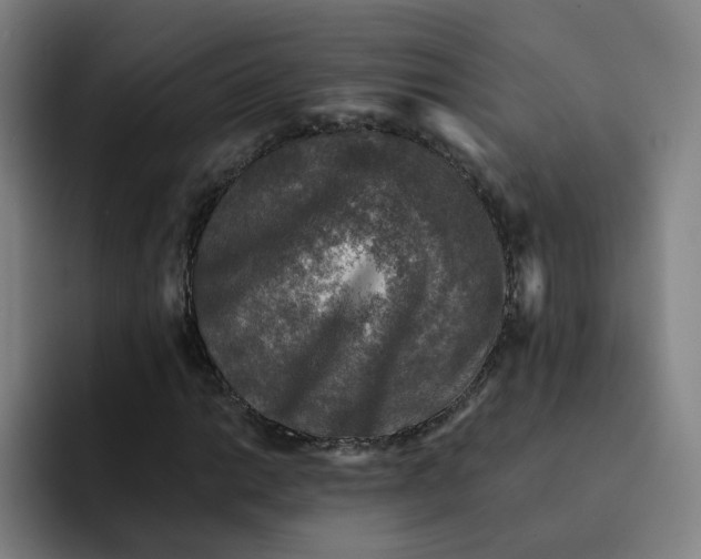 X0000091901014200709261654