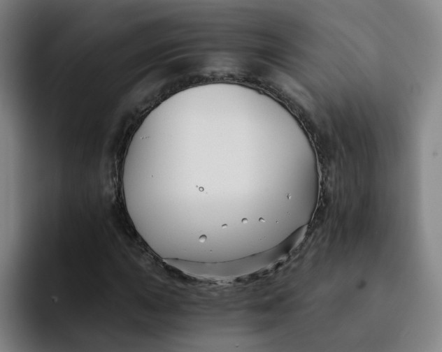 X0000091901015200709261654