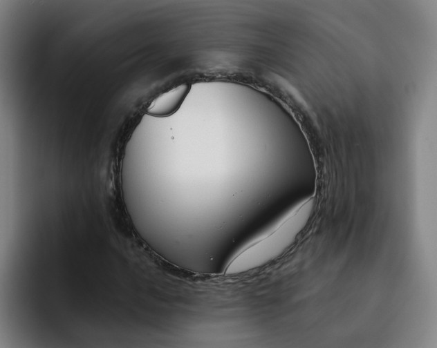 X0000091901016200709261654