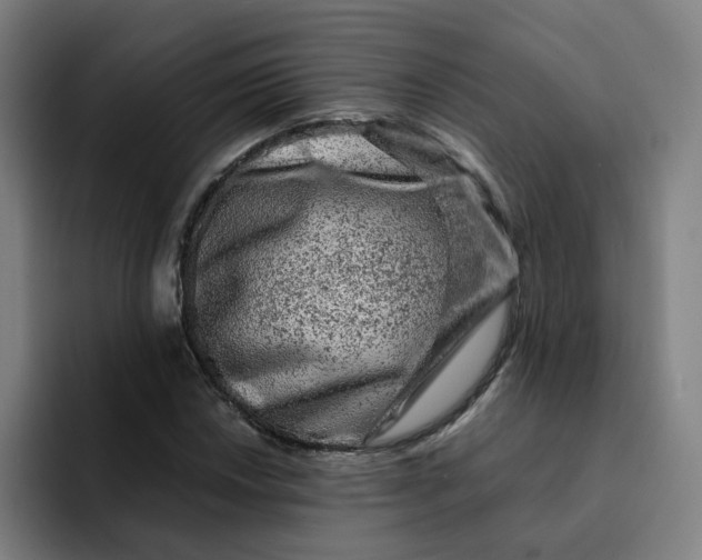 X0000091901018200709261654