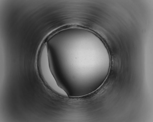 X0000091901020200709261654