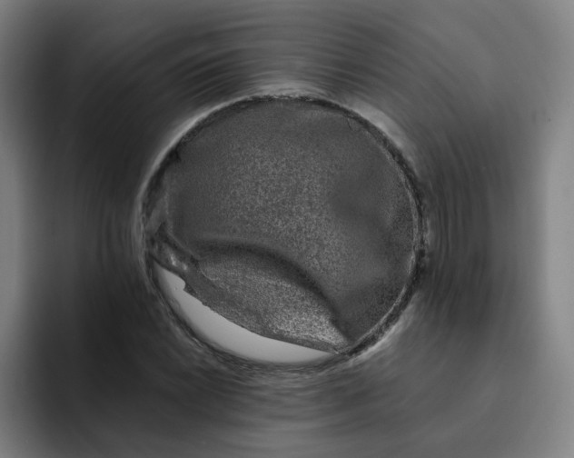 X0000091901022200709261654