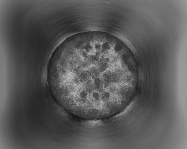 X0000091901023200709261654