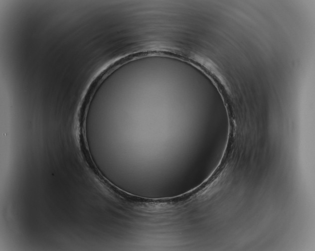 X0000091901024200709261654