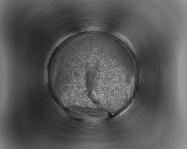 X0000091901027200709261654