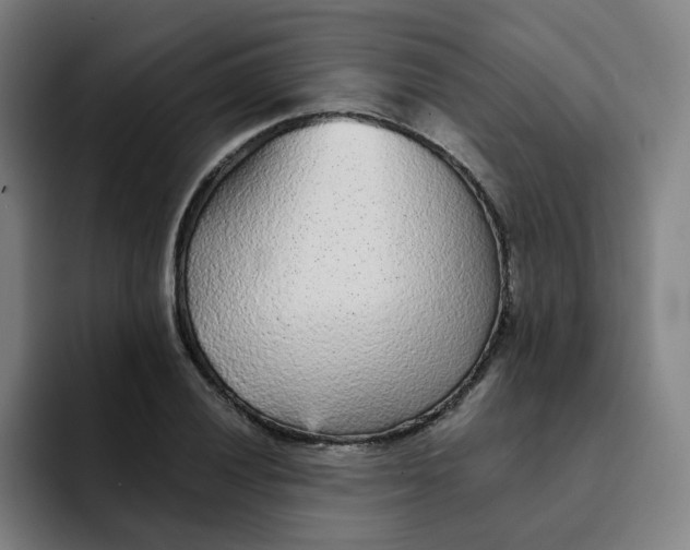 X0000091901028200709261654