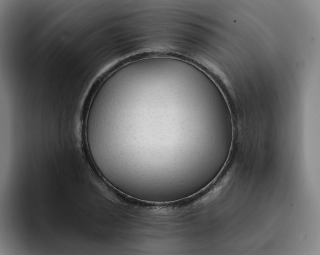 X0000091901029200709261654