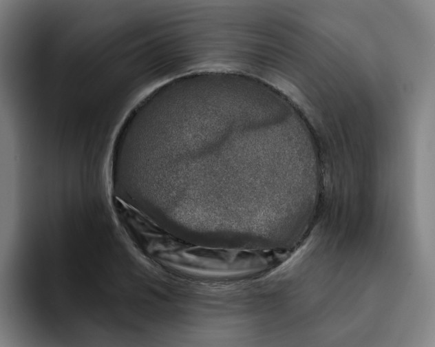 X0000091901030200709261654